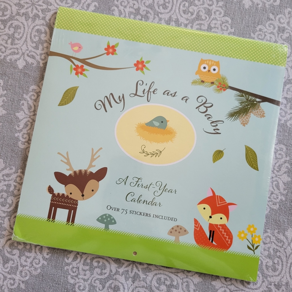 Baby's first year calendar